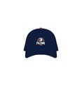 DEMH Falcons Cap